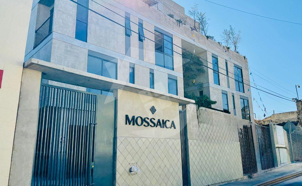 Foto de la galeria de imagenes